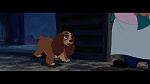 The Lady and the Tramp picture
