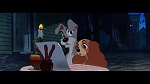 The Lady and the Tramp picture