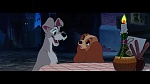 The Lady and the Tramp picture