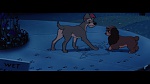 Image The Lady and the Tramp