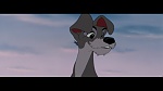 The Lady and the Tramp picture