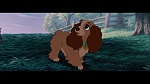 Image The Lady and the Tramp