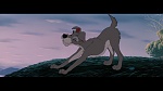 The Lady and the Tramp picture