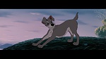 The Lady and the Tramp picture