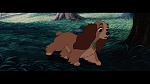 Image The Lady and the Tramp