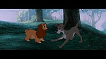 The Lady and the Tramp picture