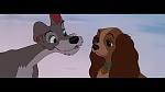 Image The Lady and the Tramp