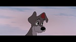 The Lady and the Tramp picture