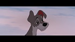 Image The Lady and the Tramp