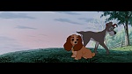 Image The Lady and the Tramp