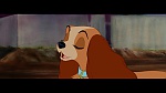 The Lady and the Tramp picture