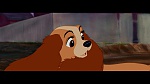 Image The Lady and the Tramp