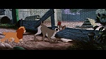 Image The Lady and the Tramp