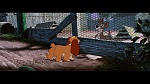 The Lady and the Tramp picture