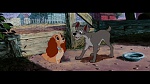 The Lady and the Tramp picture