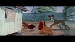 The Lady and the Tramp picture