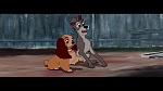 Image The Lady and the Tramp