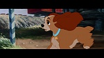 Image The Lady and the Tramp