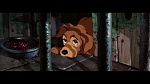 The Lady and the Tramp picture