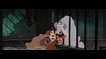 Image The Lady and the Tramp