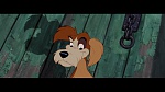 Image The Lady and the Tramp