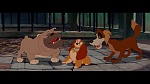 Image The Lady and the Tramp