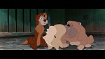 The Lady and the Tramp picture