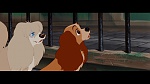 The Lady and the Tramp picture