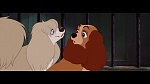 The Lady and the Tramp picture