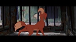 The Lady and the Tramp picture