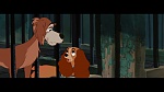 The Lady and the Tramp picture