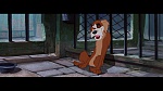 The Lady and the Tramp picture