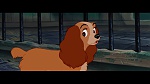 The Lady and the Tramp picture