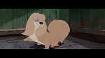 The Lady and the Tramp picture
