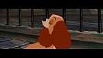 Image The Lady and the Tramp