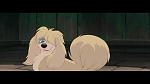 The Lady and the Tramp picture