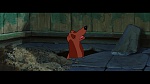 The Lady and the Tramp picture