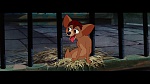 The Lady and the Tramp picture