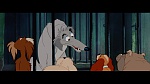 The Lady and the Tramp picture