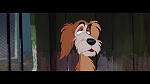 Image The Lady and the Tramp
