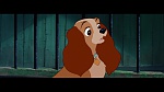 The Lady and the Tramp picture