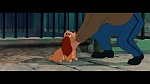 The Lady and the Tramp picture