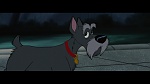 The Lady and the Tramp picture