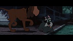 The Lady and the Tramp picture
