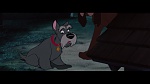 The Lady and the Tramp picture