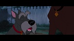 The Lady and the Tramp picture