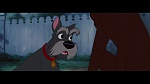 The Lady and the Tramp picture