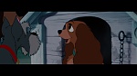 The Lady and the Tramp picture