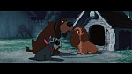 The Lady and the Tramp picture
