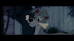 The Lady and the Tramp picture